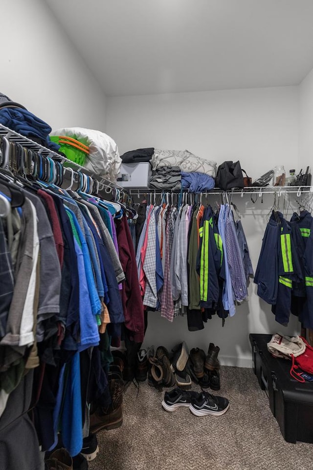 walk in closet featuring carpet floors