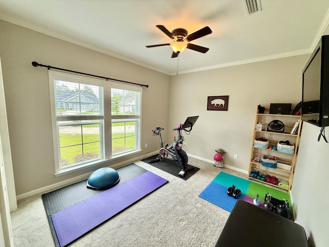 204 Scarlet Oak Dr, Headland, AL 36345 - photo 31