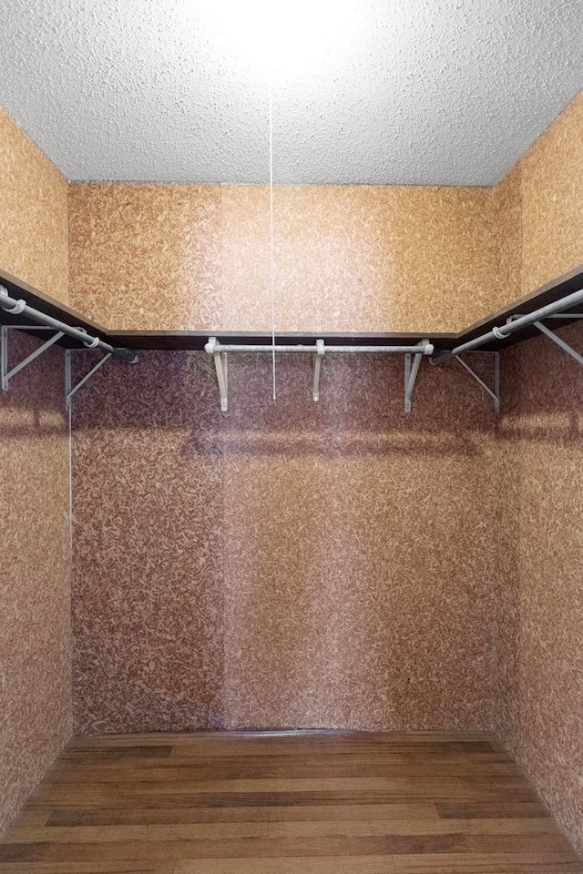 spacious closet featuring hardwood / wood-style flooring