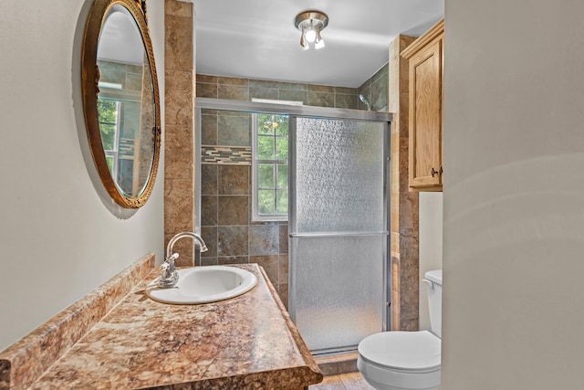 bathroom featuring toilet, an enclosed shower, and vanity