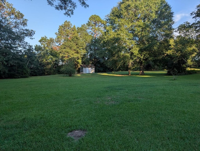 1367 S Beverlye Rd, Dothan, AL 36301 - photo 23