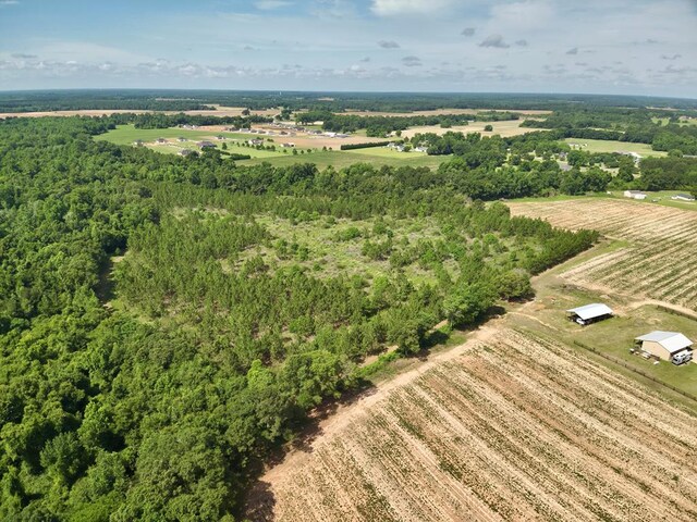 1243 Silcox Rd, Ashford, AL 36312 - overview of rural landscape featuring extensive farmland