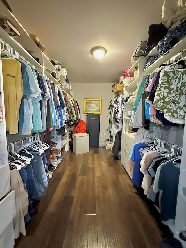 1243 Silcox Rd, Ashford, AL 36312 - spacious closet with wood finished floors