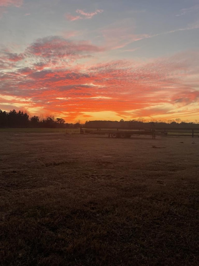 1243 Silcox Rd, Ashford, AL 36312 - view of yard featuring a rural view