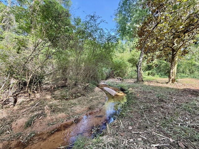 1243 Silcox Rd, Ashford, AL 36312 - view of nature