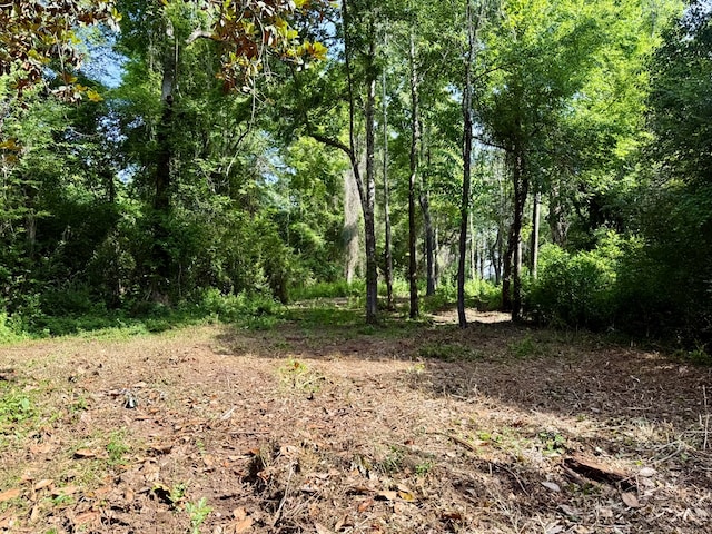 1243 Silcox Rd, Ashford, AL 36312 - view of tree filled area