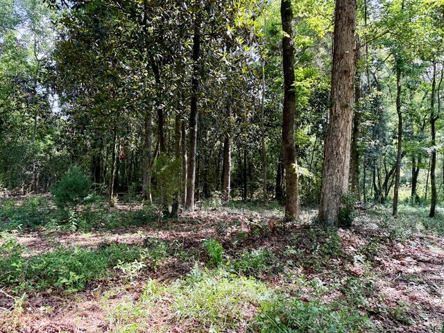 1243 Silcox Rd, Ashford, AL 36312 - view of wooded area