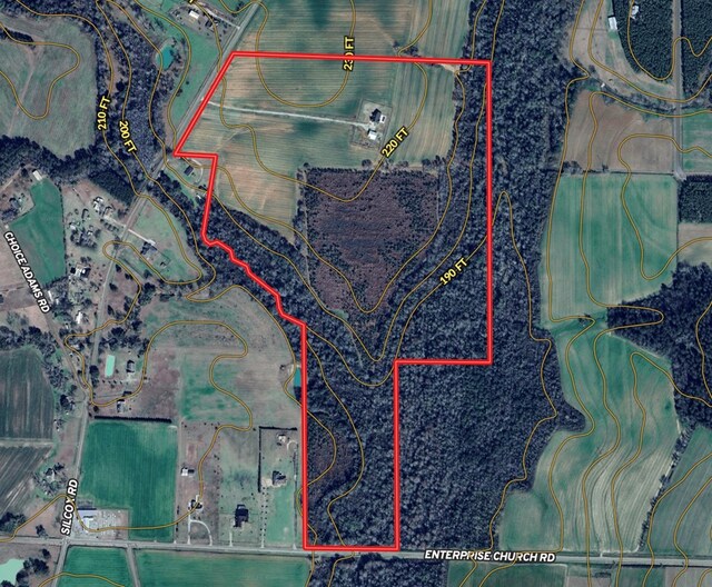 1243 Silcox Rd, Ashford, AL 36312 - map / location