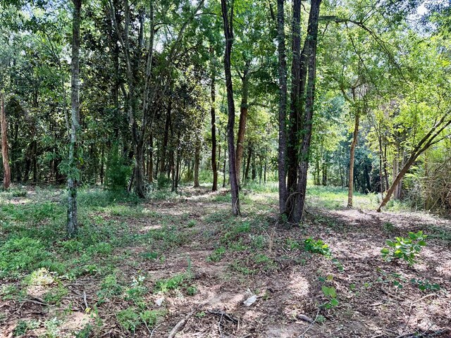 1243 Silcox Rd, Ashford, AL 36312 - view of woods