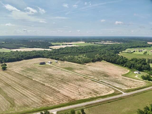 1243 Silcox Rd, Ashford, AL 36312 - overview of rural landscape with rows of crops
