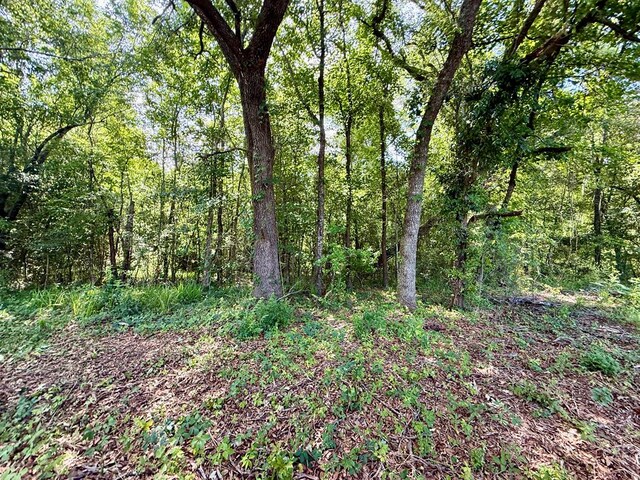 1243 Silcox Rd, Ashford, AL 36312 - view of wooded area
