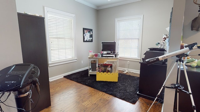 office space featuring hardwood / wood-style flooring and crown molding