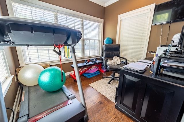 exercise room featuring dark hardwood / wood-style floors and crown molding