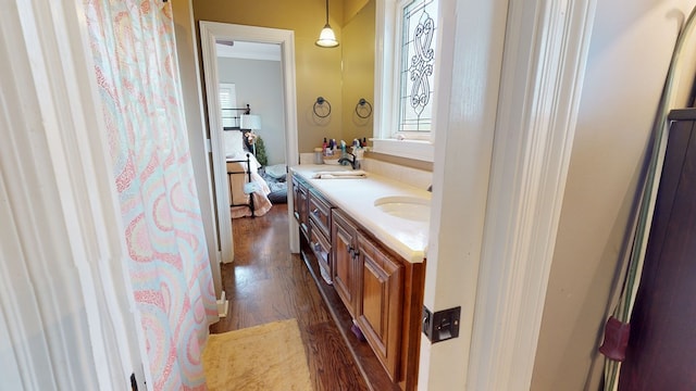 bathroom with hardwood / wood-style flooring and vanity