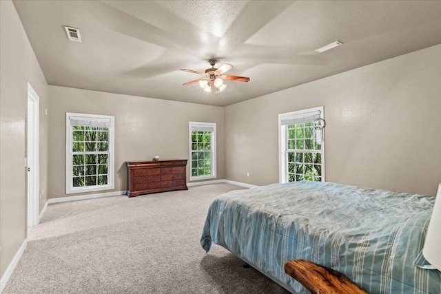 863 Cowarts Creek Rd, Ashford, AL 36312 - photo 17