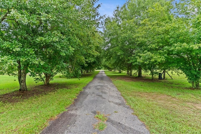 863 Cowarts Creek Rd, Ashford, AL 36312 - photo 45