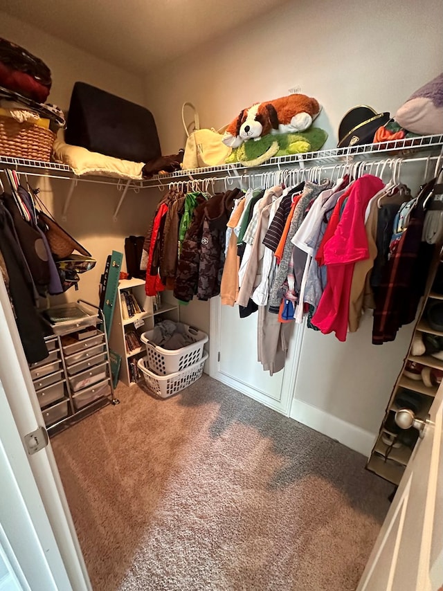 walk in closet featuring carpet