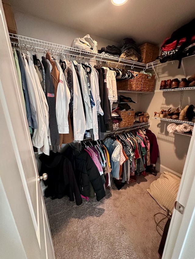 spacious closet featuring carpet