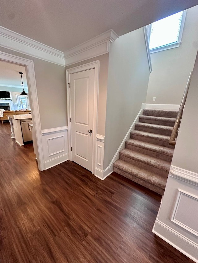 staircase with crown molding, wainscoting, and wood finished floors