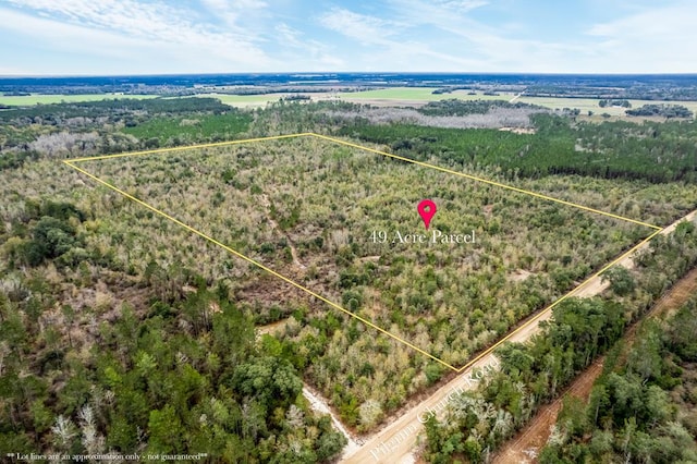 2 Pilgrim Church Rd, Gordon AL, 36343 land for sale