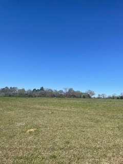 3001 E Cottonwood Rd, Dothan, AL 36301 - photo 2