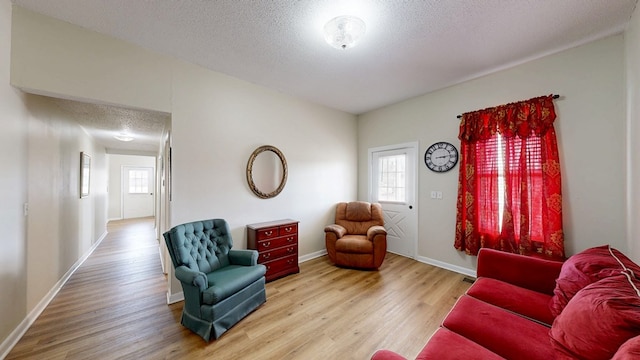 living room featuring wood-type flooring and a textured ceiling