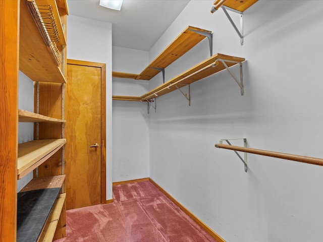 spacious closet with carpet floors