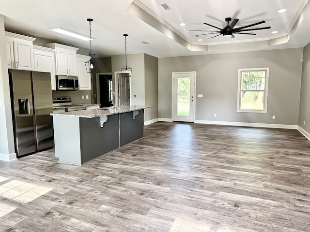 227 Tiffany Dr, Dothan, AL 36301 - kitchen with visible vents, a healthy amount of sunlight, a tray ceiling, and stainless steel appliances