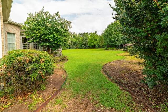 104 Ashwood Dr, Dothan, AL 36303 - view of green lawn