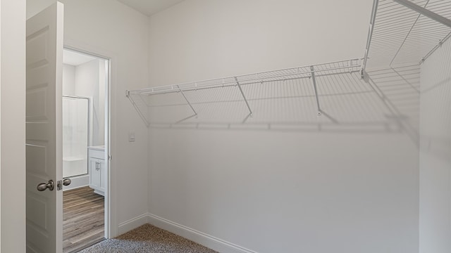 view of spacious closet