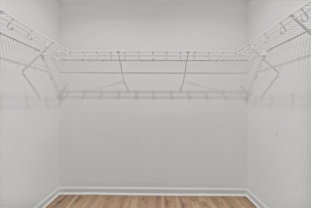 1182 N N Park Ave, Dothan, AL 36303 - spacious closet featuring light wood finished floors