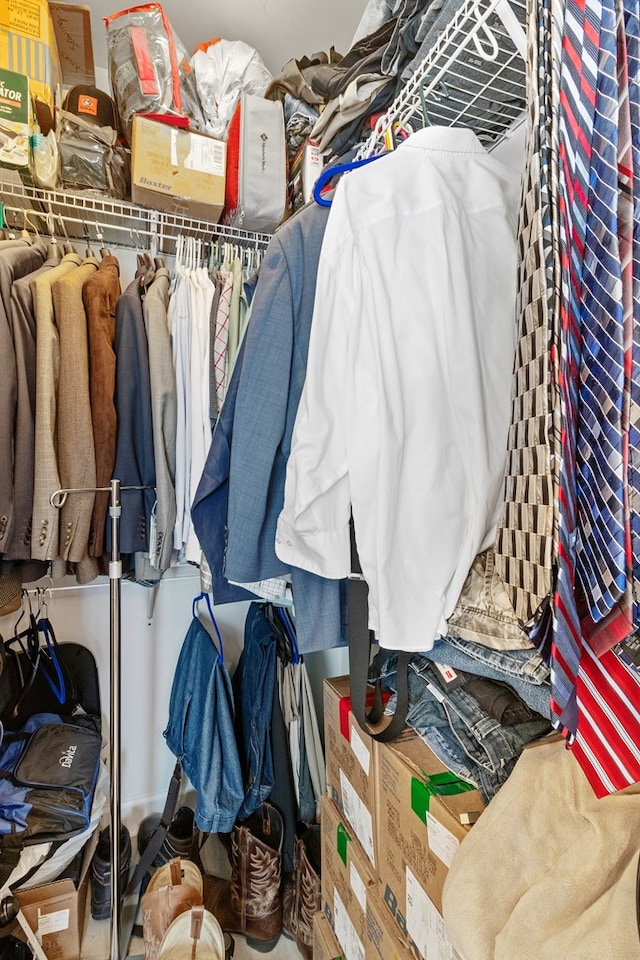 view of spacious closet