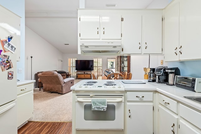 706 W Roxbury Rd, Dothan, AL 36305 - kitchen featuring white appliances, under cabinet range hood, dark wood finished floors, and light countertops