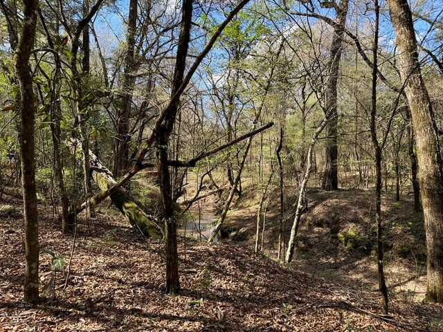 2326 Campbell Hill Rd, Chancellor, AL 36316