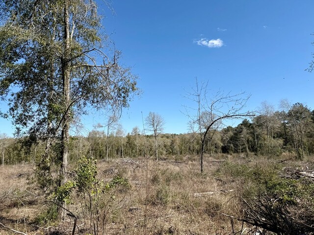 2326 Campbell Hill Rd, Chancellor, AL 36316