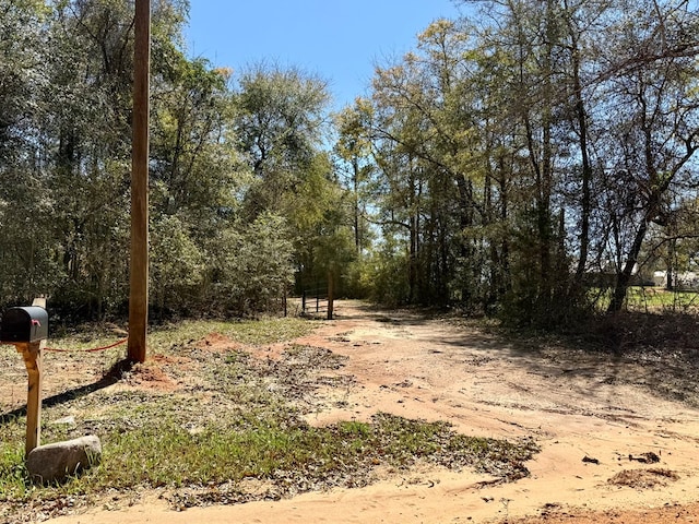 2326 Campbell Hill Rd, Chancellor, AL 36316
