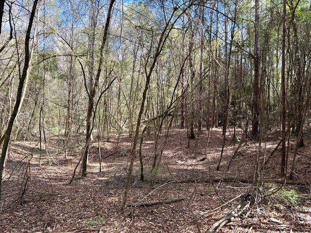 2326 Campbell Hill Rd, Chancellor, AL 36316