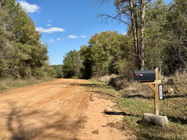 2326 Campbell Hill Rd, Chancellor, AL 36316