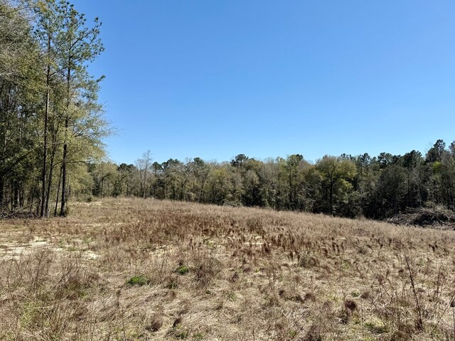 2326 Campbell Hill Rd, Chancellor, AL 36316