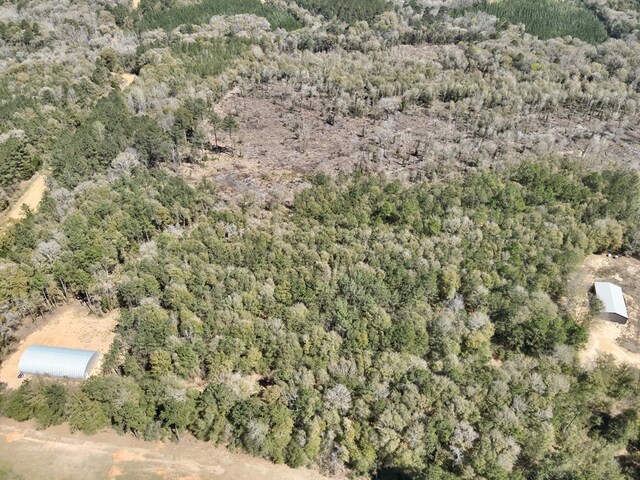 2326 Campbell Hill Rd, Chancellor, AL 36316