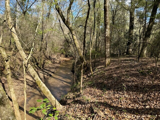 2326 Campbell Hill Rd, Chancellor, AL 36316