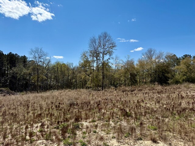 2326 Campbell Hill Rd, Chancellor, AL 36316