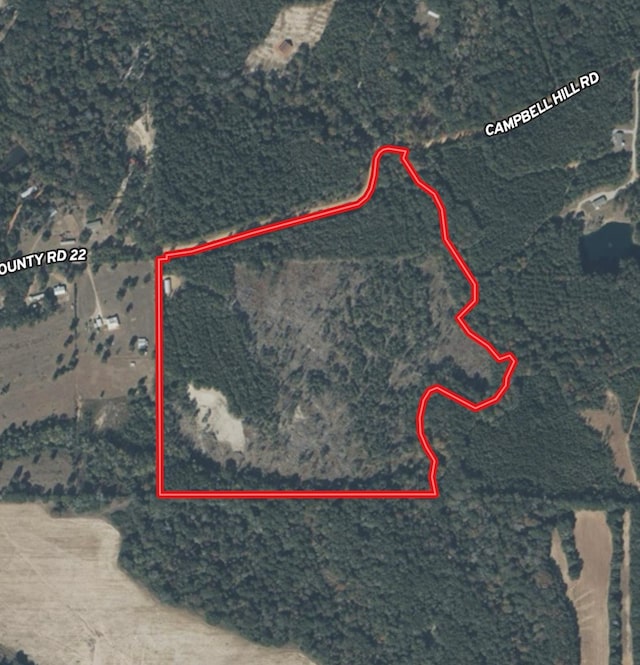 2326 Campbell Hill Rd, Chancellor, AL 36316