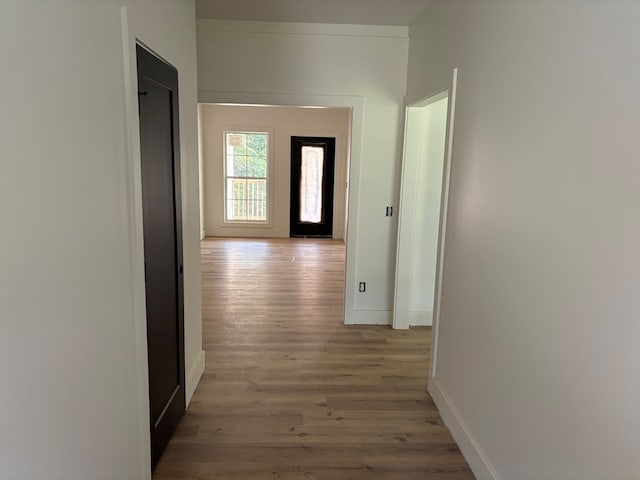317 Old Village Rd, Ozark, AL 36360 - hall featuring light wood-style flooring and baseboards