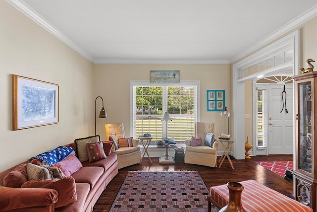 living room featuring ornamental molding and dark hardwood / wood-style floors