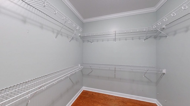 107 Boulder Dr, Dothan, AL 36305 - walk in closet with wood finished floors