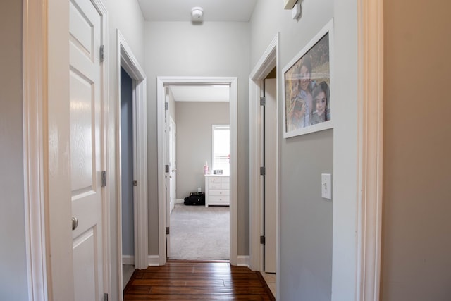 hallway with dark hardwood / wood-style flooring