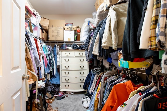 walk in closet featuring carpet floors