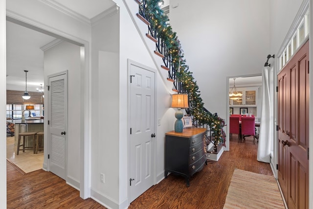 corridor with ornamental molding, dark wood-type flooring, and sink