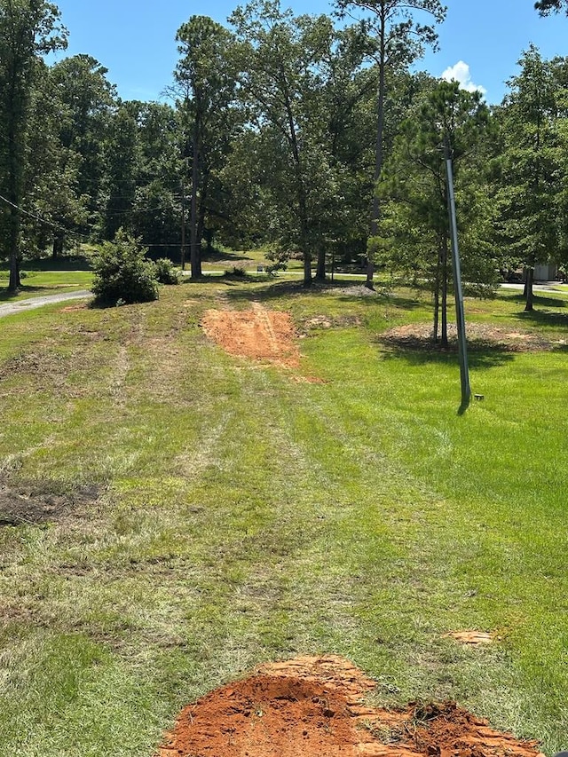 914 Lakeshore Dr, Abbeville, AL 36310